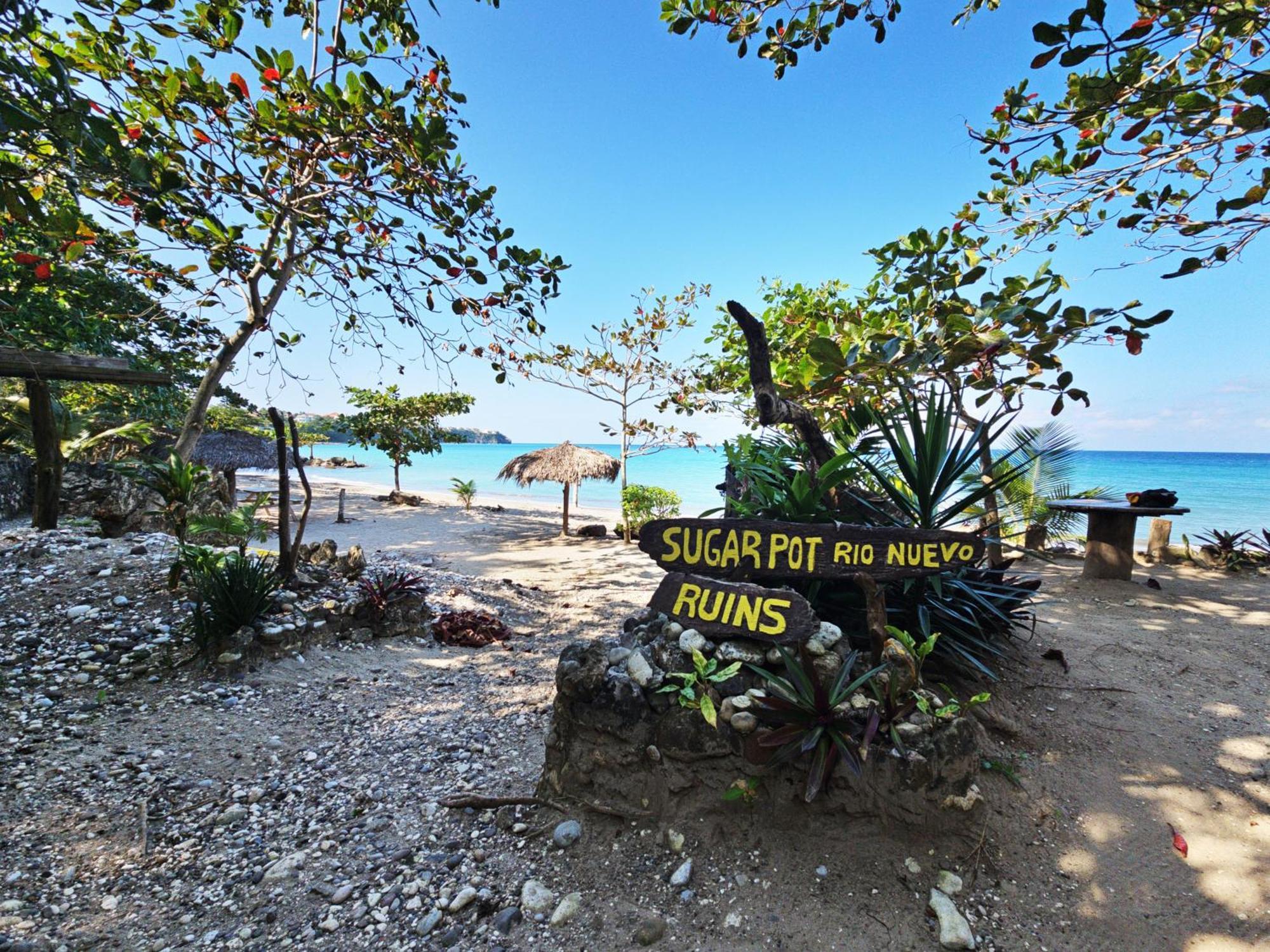 Chrisanns Paradise Suite By The Ocean - Apt#9 Ocho Rios Exterior photo